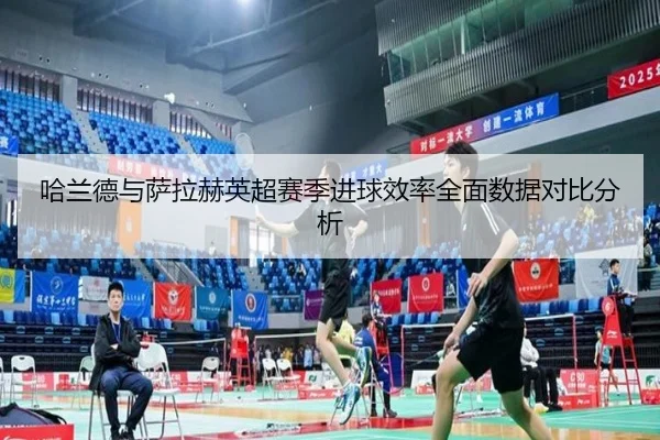 哈兰德与萨拉赫英超赛季进球效率全面数据对比分析